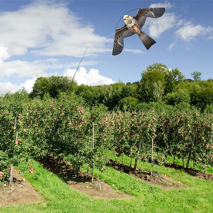 Bird Hawk Flying Kite with Pole Crops Farm Protector Bird Scarer Flying Kite with 6m Pole-Style B