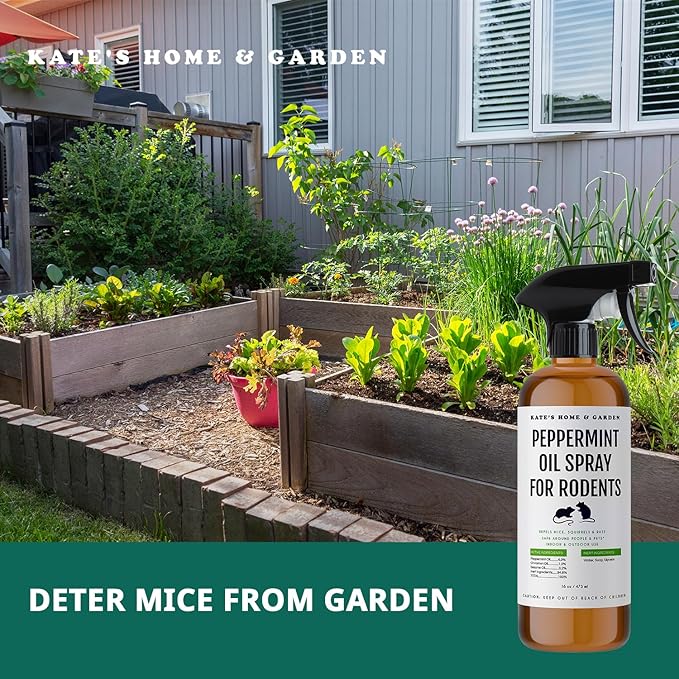 Kate Naturals Peppermint Oil Spray for Rodents, Squirrels, Mouse, Bat, Rat, Car Engines (16oz, Non-Toxic, Pet Safe)