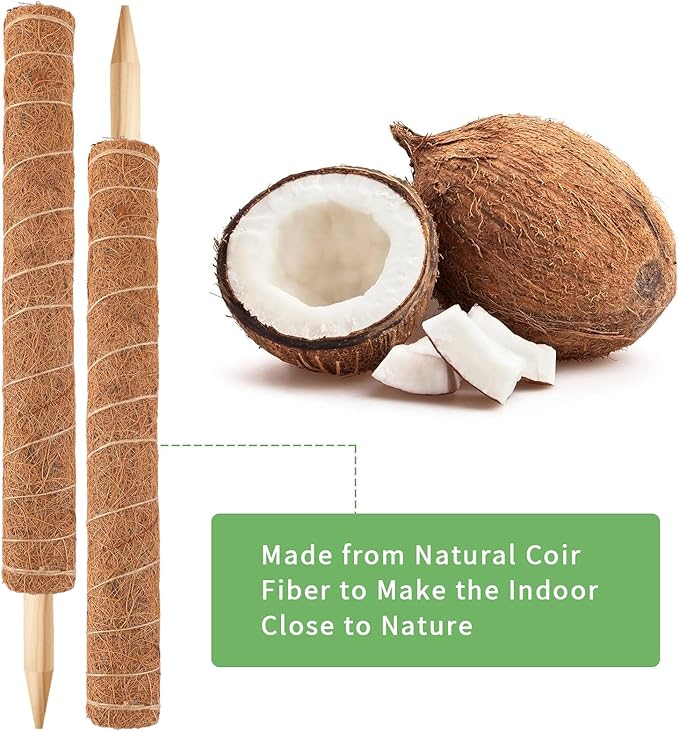 Augshy 34 Inch Moss Pole, 2 Pack 19.5 Inch Moss Poles for Climbing Plants Monstera, Moss Sticks for Indoor Plant Support Plant Stakes for Indoor Climbing Plants Grow Upwards with Garden Ties