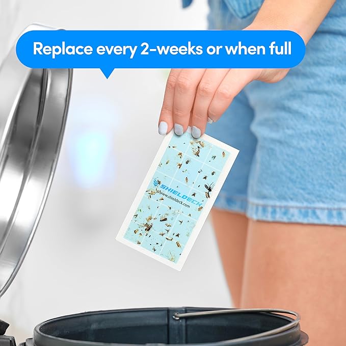 BuzzTrap Refills - 8-Pack Sticky Pads - Indoor Flying Insect Trap - Plug-in Fly, Fruit Fly, Gnat, and Mosquito Trap (8 Refills - No Device)