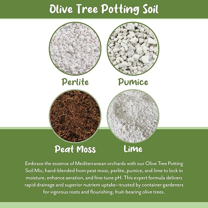 Olive Tree Potting Soil Mix (8 Quarts), for Planting, Repotting, and Growing Olive Bushes/Plants