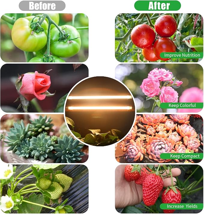 Two Strip Growing Lamp 2-Pack for Indoor Plants, 3500K Full Spectrum LED Grow Light Strips with Auto ON/Off 3/9/12H Timer & 10 Dimmable Levels for Green House Succulent (2 Head×2 Pack)