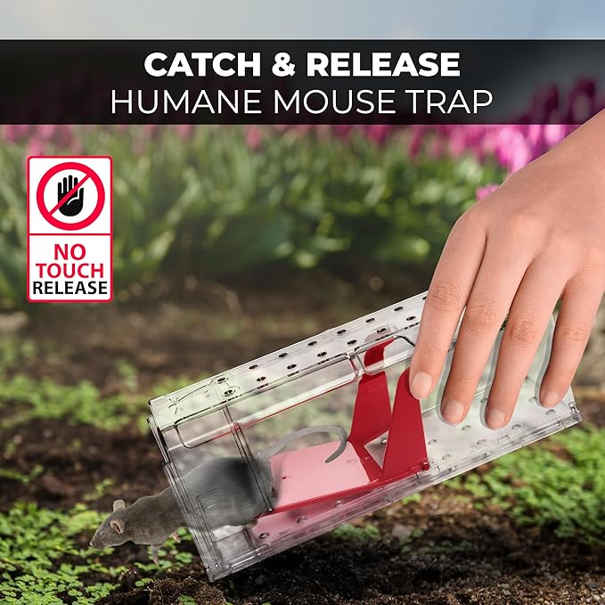 Humane Mouse Trap Pack of 4 - No Kill - Live Mouse Traps Indoor for Home Use - Reusable Rodent Traps for House Indoor, Safe & Effective Rat Trap Outdoor - Humane Mice Control with Cleaning Brush