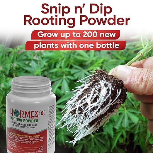 Hormex Rooting Powder #8, Grow Cubes, Shears Combo - Rooting Hormone for Semi-Hardwood Plants & Medicinal Cuttings | Root Starter Cubes for Cloning Plants | Precision Straight-Blade Shears (50 Plugs)