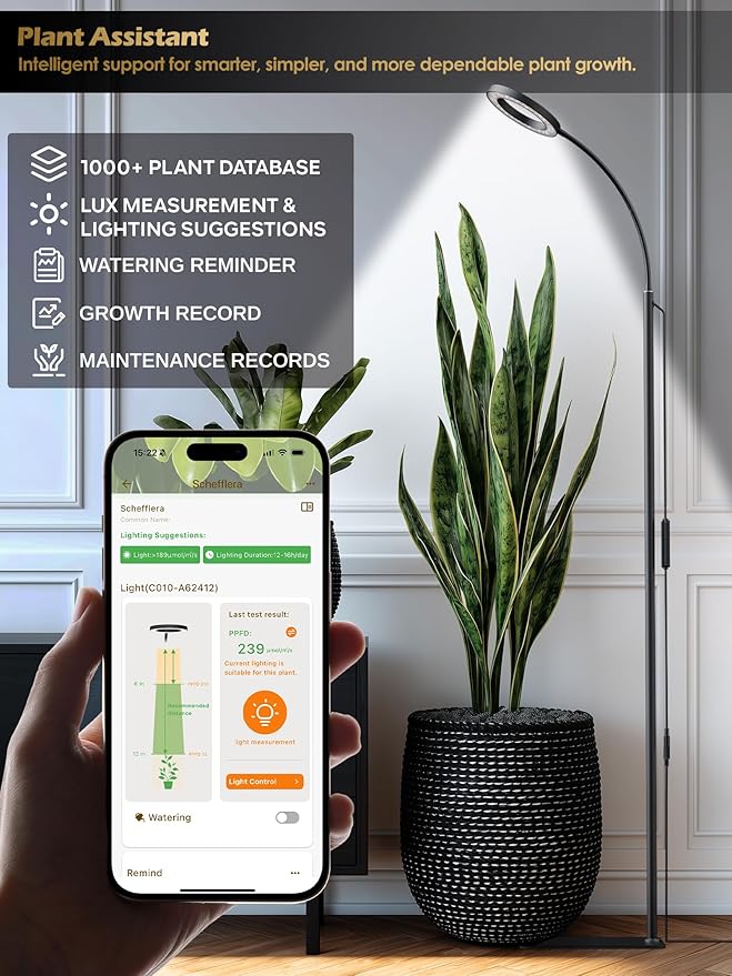 GLOWRIUM Smart Grow Lights for Indoor Plants with Auto Timer, Full Spectrum LED Floor Plant Light for 3 Spectrum Modes,6 Dimmable Levels,63inch Adjustable Height for Large Plants (Black, 20W)