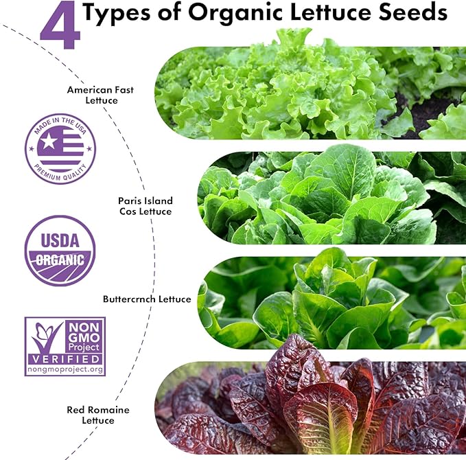 LYKOCLEAN Salad Romaine Lettuce Pods for AeroGarden, Ahopegarden, iDOO Hydroponics Growing System, 350 Seeds+ Including American Fast Lettuce, Paris Island Cos Lettuce, Buttercrunch Lettuce(7-Pods)