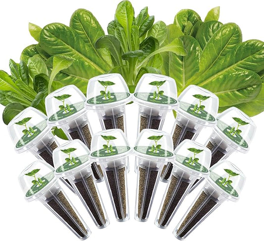 Romaine Seed Pods Kit for Hydroponics, 12 Pods Grow Anything Kit for Indoor Hydroponics Growing System, Hydroponics Supplies with 12 Grow Sponges, 12 Plant Baskets, 12 Pod Domes and Labels