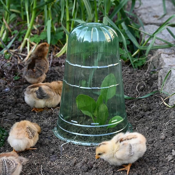 20 Pack Garden Cloches for Plants, Reusable Bell Plant Protector, Garden Protection from Animals Snails Birds Chickens Insect, 9.85" H X 7.3" D (Green)