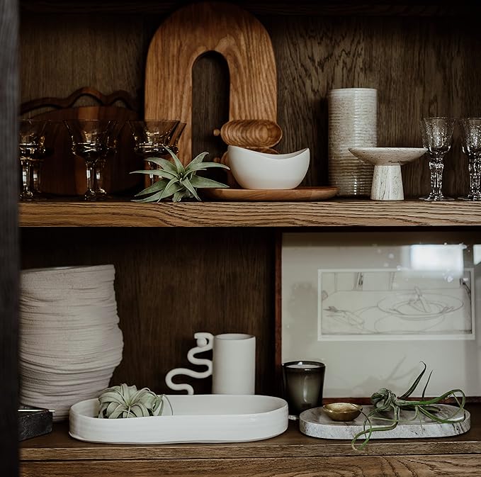 Air Plants - Tillandsia Xerographica, Large 5-7” - 3ct - Live Arrival Gauranteed - House Plants for Home Decor & Gift