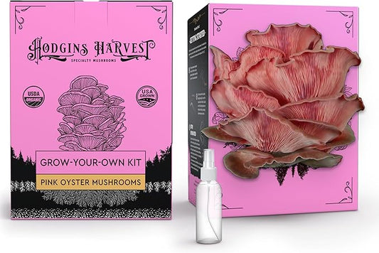 Pink Oyster Mushroom Grow Kit (4lbs) | USDA Certified Organic | Grow Your Own Delicious Gourmet Mushrooms at Home