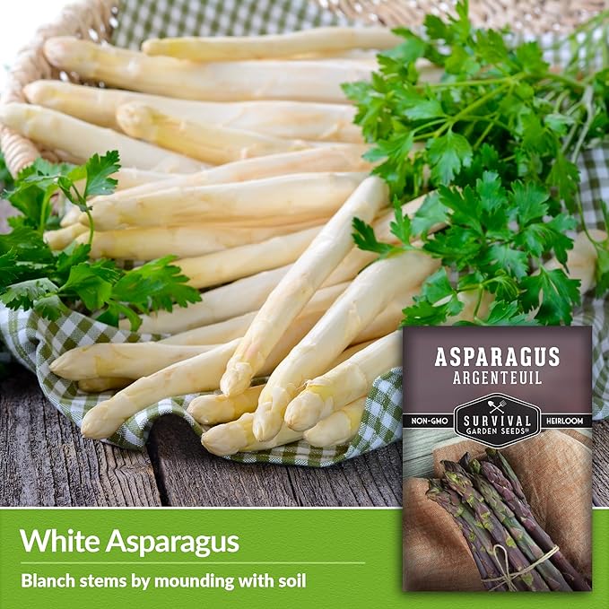 5 Packs Argenteuil Purple Asparagus Seeds for Planting with Instructions to Grow Gourmet French Asparagus in Your Home Vegetable Garden - Non-GMO Heirloom - Survival Garden Seeds