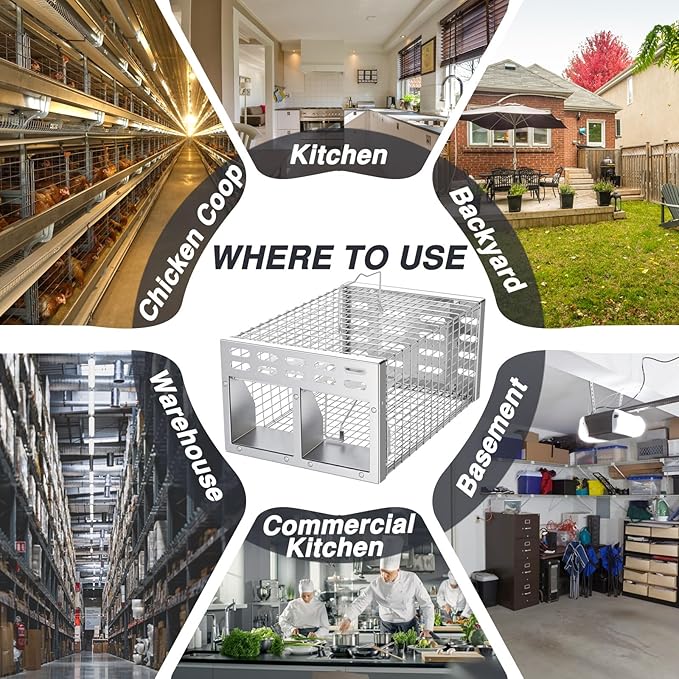 Rat Trap, Humane Live Rat Trap & Automatic Reset Mouse Traps with Dual One-Way Door Design –Catch and Release for Mice, Chipmunks, Hamsters, and Other Rodents, Indoors & Outdoors(2PCS Silver)