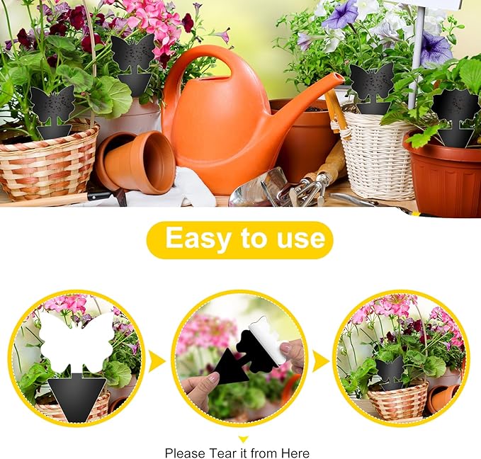 Fruit Fly Traps, 60 Pack Black Sticky Traps, Fungus Gnat Traps, Plant Fly Stickers for Indoor and Outdoor Use Protect The Plant