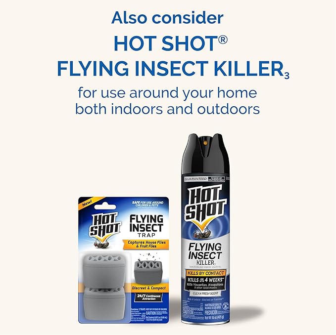 Hot Shot Flying Insect Trap, Discreet, Trap Attracts and Captures House Flies and Fruit Flies, 24/7 Continuous Attraction, No Plug-in Or Electricity Needed, 6 Count