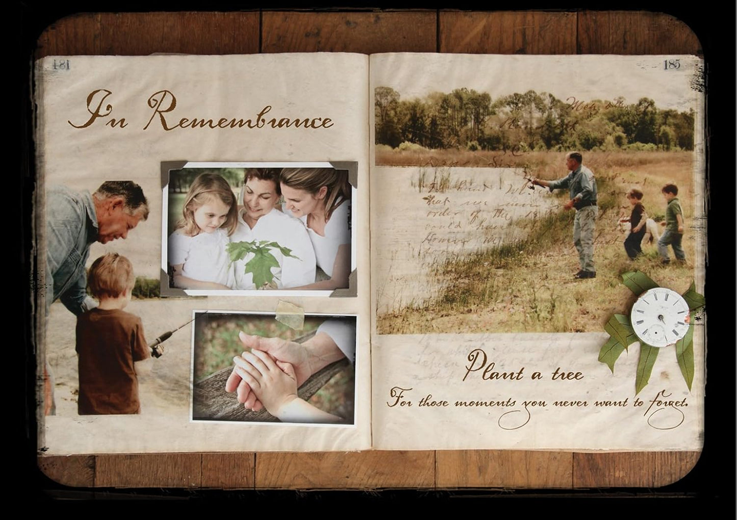 Sympathy Persian Lime Gift Tree, Lime Tree, Easy to Grow, Indoor/Outdoor, Live Plant, Lasting Sympathy Gift, by The Magnolia Company, Can't Ship to CA, AL, AZ, LA, TX