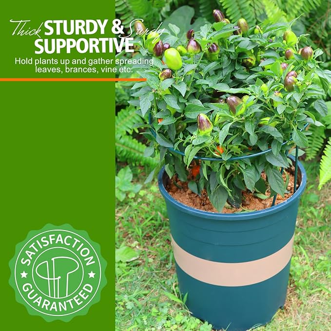 LEOBRO Plant Support, 8PCS Peony Cages and Supports, Plant Stakes for Indoor Plants, Outdoor Plants, Plant Holders, Tomato Monstera Hydrangea Support Cage, 10" W x 15.8" H