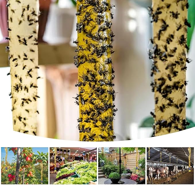 24 Pack Fly Strips Ribbon Sticky Indoor Outdoor Hanging, Fruit Fly Traps Outdoor Fly Paper Indoor, Gnat Flies Tape Catcher for Home