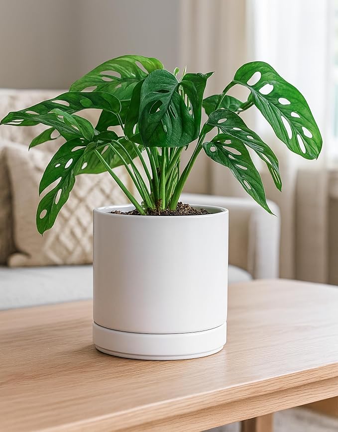 D'vine Dev 4.7 Inch & 6.5 Inch Ceramic Planter Pots for Plants with Drainage Hole and Saucer, Small Plant Pots Set, White, 94-G-S-1