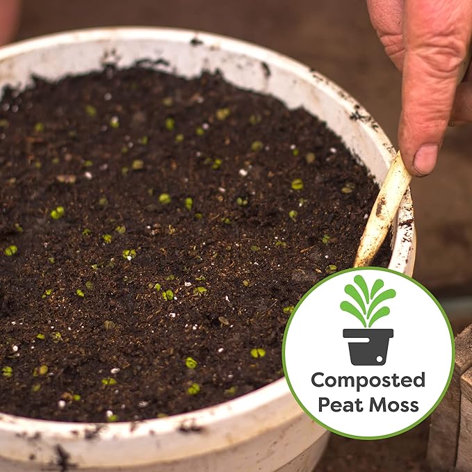 Perfect Plants Organic Seed Starter Soil Mix 8qts. | Germinate Seeds at Home | Sustainable Gardening Substrate