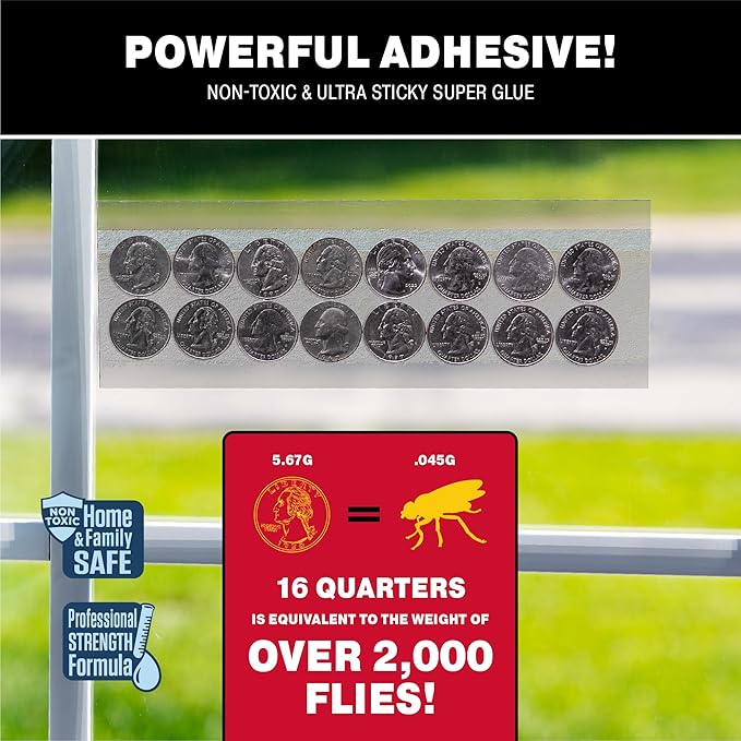 Catchmaster Window Fly Traps 12-Pack, Fruit Fly Traps for Indoors, Disposable Bulk Bug Catcher, Waterproof Insect Glue Trap, Adhesive Strips, Pet Safe Pest Control for Home, Kitchen, & Garage