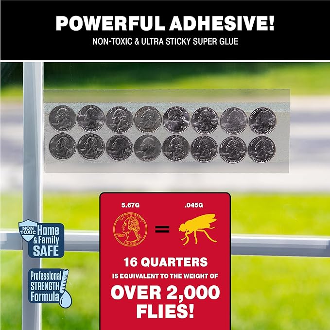 Catchmaster Window Fly Traps 48-Pack, Fruit Fly Traps for Indoors, Disposable Bulk Bug Catcher, Waterproof Insect Glue Trap, Adhesive Strips, Pet Safe Pest Control for Home, Kitchen, & Garage