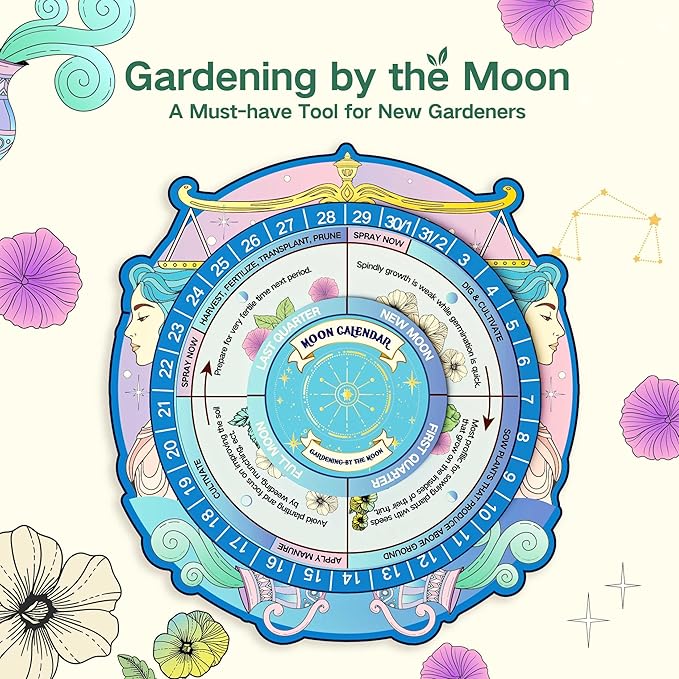 Lush&Dew Gardening Gift for Women Men, Zodiac Garden Seed Bank, 12 Types Non-GMO Vegetables Flower Seeds in Seed Organizer, Magnetic Gift Box, Witchcraft Supplies with Moon Calendar (Air Signs)