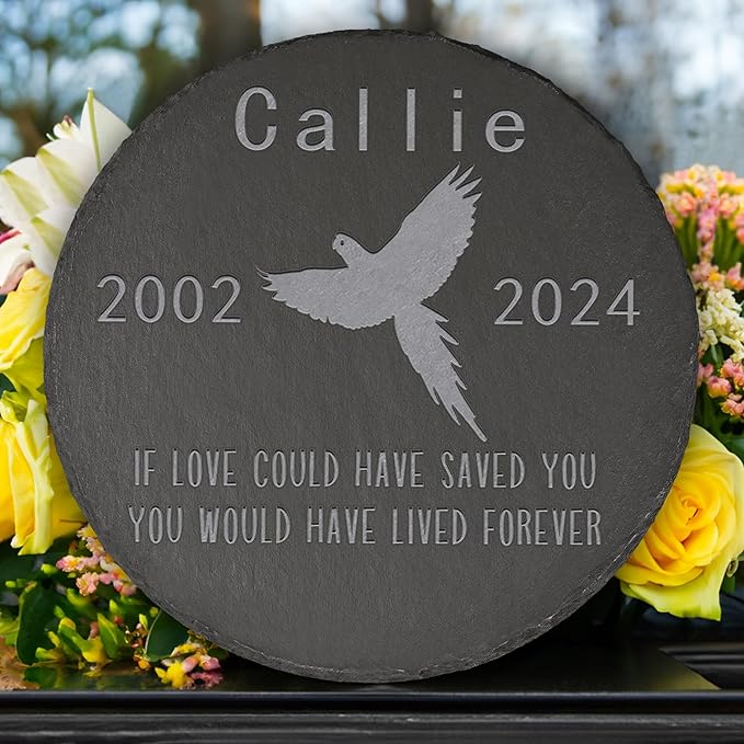 Parrot Memorial Stone Parrot Garden Statue - Parrot Memorial Gifts - Parrot Tombstone - Parrot Loss Gift - Loss of Pet Parrot - Round