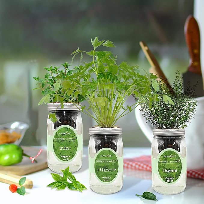 Hydroponic Growing Kit Set, Self-Watering Mason Jar Herb Garden Starter Kit Indoor, Window Herb Garden, Grow Your Own Herbs from Organic Seeds (Mint, Cilantro and Thyme)