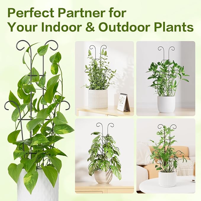 Larger 23.6in Taller Plant Trellis for Climbing Plants Indoor, 4 Pack Metal Garden Trellis for Potted Plants, Rustproof, Larger, Sturdy Climbing Plant Support for Indoor & Outdoor Houseplants