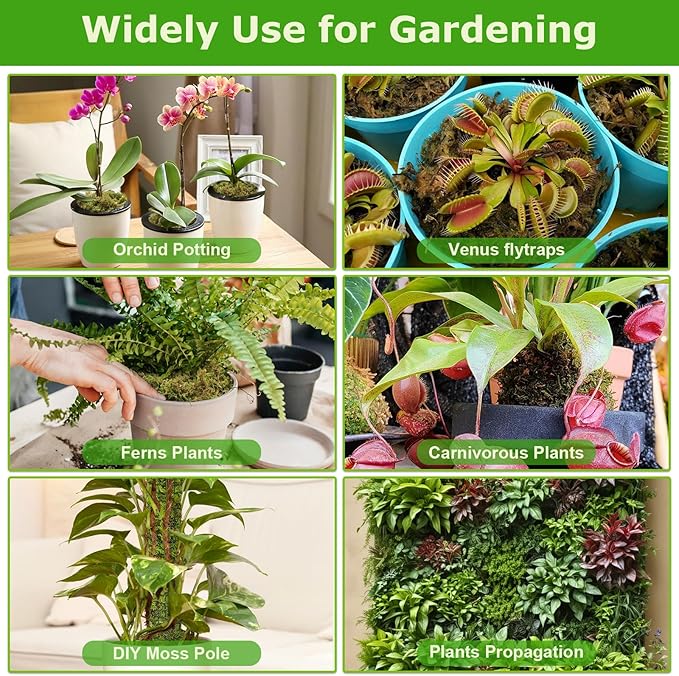 Legigo 3.5OZ Premium Forest Moss for Plants, 4QT Natural Green Sphagnum Moss for Potted Plants, Dried Orchid Moss Potting Mix, Soft Real Moss Decorative for Houseplants Orchids Succulents Reptiles