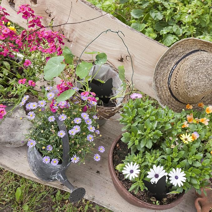 USKICH Sticky Trap Fruit Fly and Gnat Trap Sticky Bug Traps Fungus Traps for Indoor/Outdoor ，Insect Catcher for White Flies,Mosquitoes,Fungus Gnats,Lying Insects (36 Pcs Black)