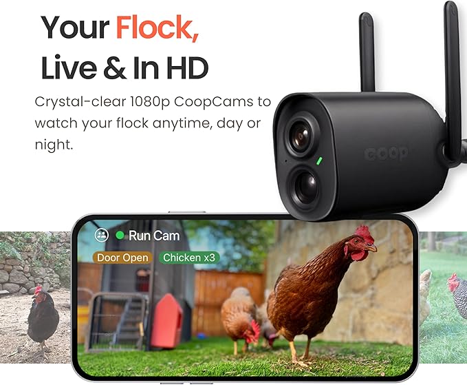 Coop Smart WiFi Chicken Camera – iOS Only, 1080p HD, Night Vision, AI Predator Alerts, Battery + Solar Option, Outdoor Waterproof Security Cam Monitoring & Egg Watch