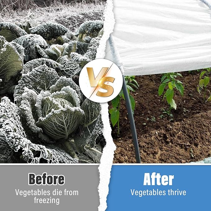 Legigo 12 X 26 Ft Clear Plastic Plant Covers Freeze Protection- 6 Mil Winter Greenhouse Plastic Sheeting for Frost Water Sun Wind Resistant, Plant Vegetable Blanket Covers for Cold Weather Garden Farm