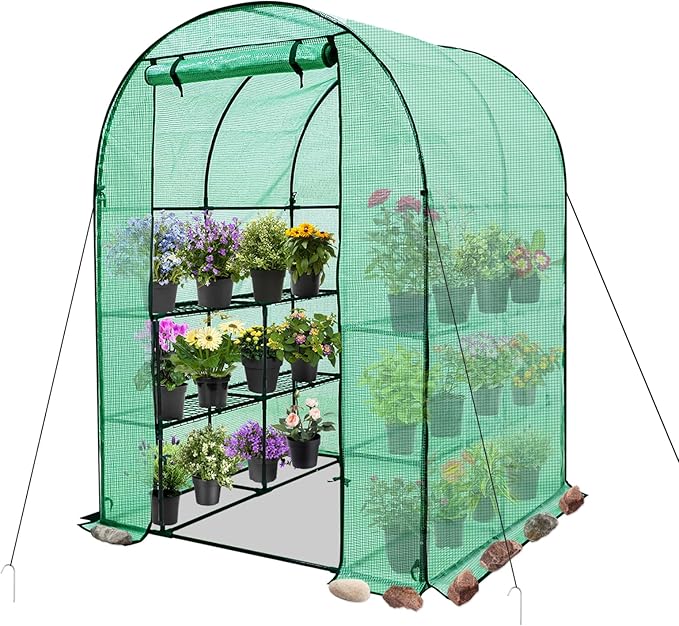EAGLE PEAK 3-Tier Walk in Portable Greenhouse with 8 Wire Shelves, Indoor and Outdoor Garden House with Roll Up Zipper Door and Windows, Easy Set Up, 56.3"x56.3"x76.8", Clear/Green PE Cover