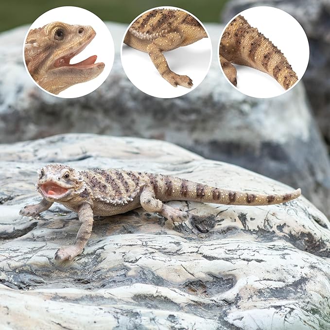 Garden Lizard Statue Vivid Horny Lizard Figurine Decorations Resin Animal Sculpture Outdoor Garden Statue for Patio Yard Lawn Ornaments Art Gift 12.6 inch by Hand Painted