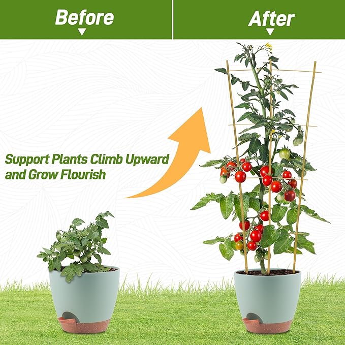 Avalution 10 Pack Bamboo Trellis for Climbing Plants, 3 FT Garden Ladder Trellis for Potted Plants Indoor, Fan-Shaped Small Plant Support Trellis for Houseplants Ivy Hoya Vine Monstera