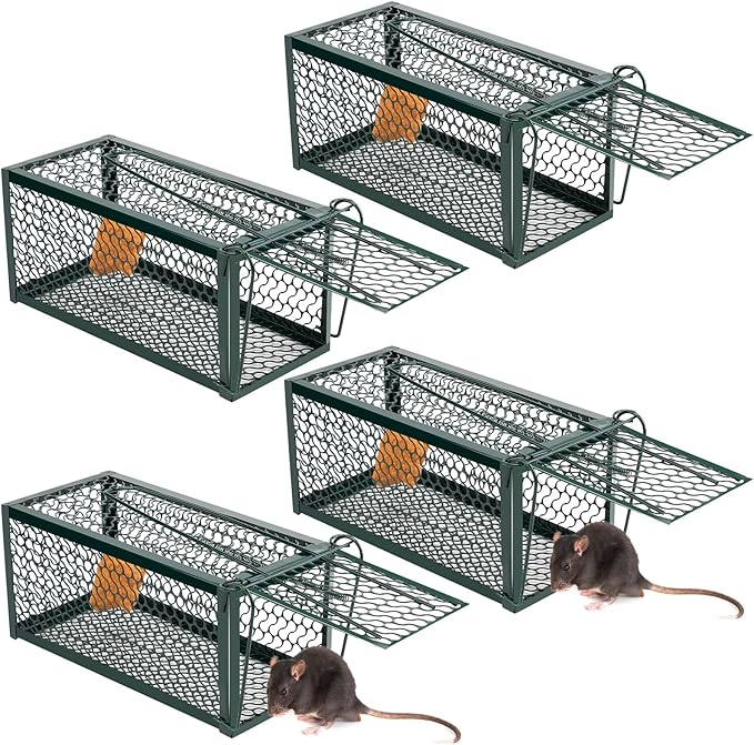 Qualirey 4 Pcs Humane Rat Trap Chipmunk Rodent Mouse Squirrel Trap Small Live Animal Mouse Voles Hamsters Live Cage Rat Cage for Mice Easy to Catch and Release (Green)