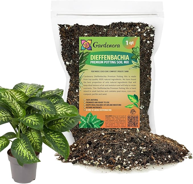 Premium DIEFFENBACHIA Potting Soil Mix - Ideal for Growing Robust and Healthy Dieffenbachia - 1 Quart