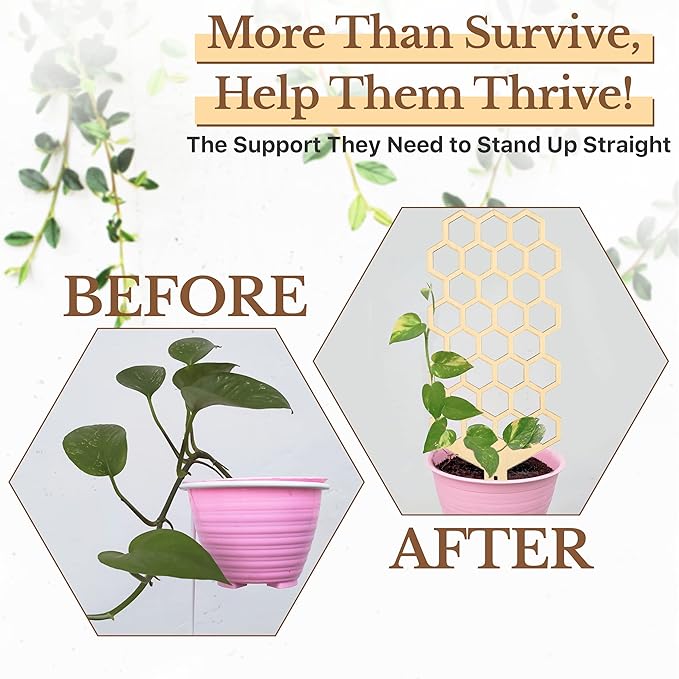 Wood Trellis for Climbing Plants Indoor & Outdoor - 2 Pack 18" Modern Honeycomb Small Plant Trellis - Stabilizing Plant Support for Indoor Plants - Small Trellis for Potted Plants to Encourage Growth
