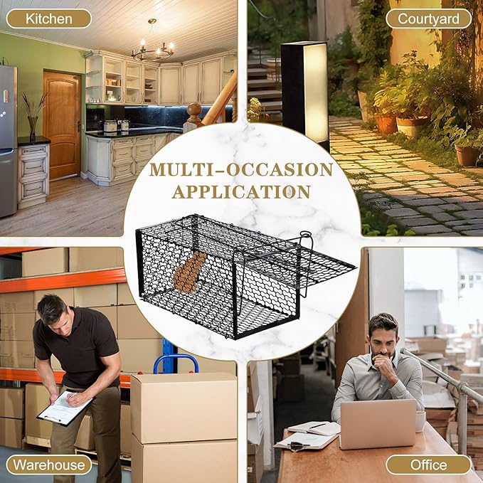 Qualirey 6 Pcs Humane Rat Trap Small Chipmunk Mouse Squirrel Cage Rodent Animal Mice Voles Hamsters Cage Catch and Release Trap for Home Garden Indoor Outdoor(15.4 x 5.5 x 5.5 Inch)