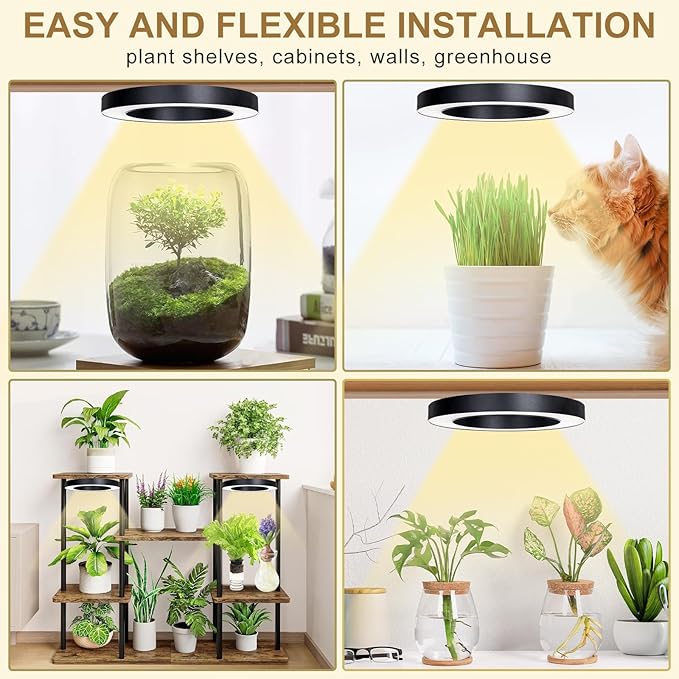 Full Spectrum Grow Light for Indoor Plants, 72 LEDs Halo Plant Light with Auto On/Off Timer (4/8/12H), 10-Level Brightness, 3 Lighting Modes, for Small Plants & Seedlings (Black, One Head)