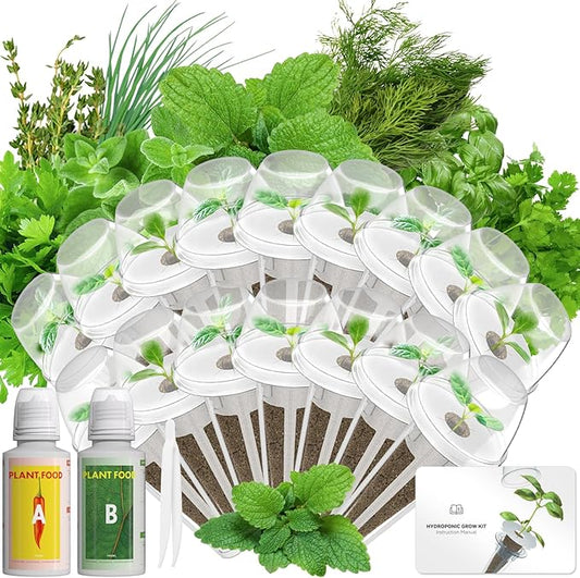 Gourmet Herb Seed Pod Kit Compatible with AeroGarden, idoo, Ahopegarden, Gardencube with Basil, Parsley, Thyme, Mint, Cilantro, Dill, Oregano, Chives - Compatible with All Hydroponics(16-Pod)