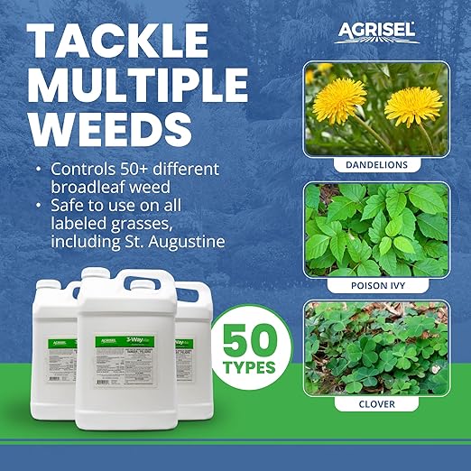 3 Way Max Weed Killer, Eliminate 50+ Weeds, Safe on Grass, Weed Spray, Pet Safe, Low Odor, Easy Mixing, Includes 3-Pack of Agrisel Protective Gloves, 320 Ounces