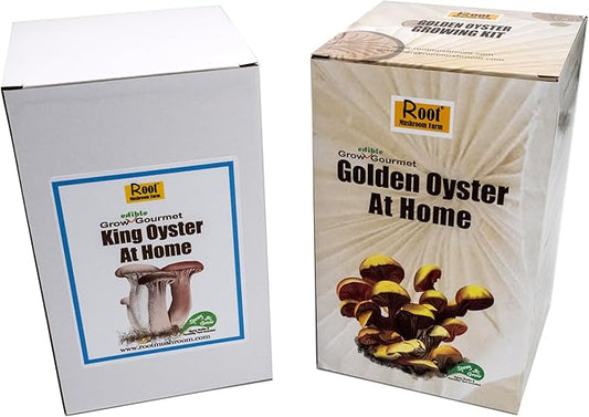 Two Mushroom Grow Kits, 3Lb Each (King Oyster & Golden Oyster)