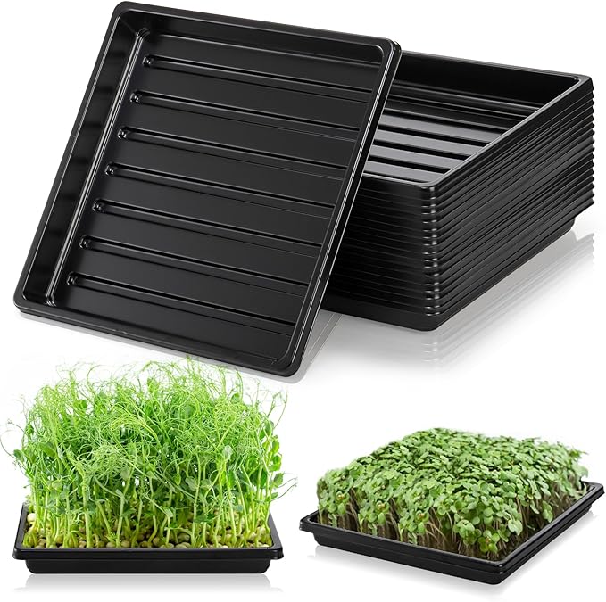 10 Pack Plastic Growing Trays, 10.6"x10.6" Garden Plant Growing Flats, Propagation Seedling Tray Without Drain Holes, Microgreens Seed Starter Tray for Greenhouse Wheatgrass Germination