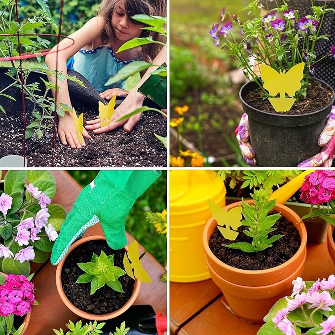 100 Pcs Sticky Trapz for gnat, Yellow Stick Traps for Plants, Fungus gnat Traps Double Side with Shovel, Indoor Safe for Gnat, Fruit Fly, White Fly, Aphid, Leaf Miner