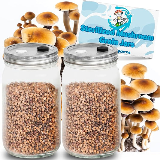 Surfin' Spores Mushroom Growing Grain Jars, Sterilized Hydrated Grain Spawn | 32 oz Glass Jars w/Self-Healing Injection Ports & Filter | Milo, Oyster Shell, & Gypsum Blend | 1 lb Per Jar (Four Pack)