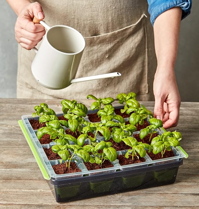 Burpee SuperSeed Seed Starting Tray | 16 XL Cell | Reusable & Dishwasher Safe | for Starting Vegetable Seeds, Flower Seeds & Herb Seeds | Indoor Grow Kit for Deep-Rooted Seedlings, Green