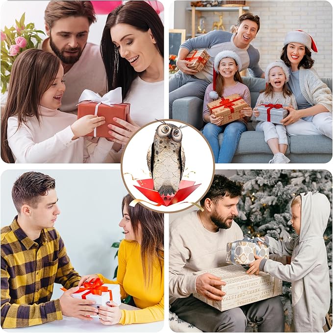 Shorayn Metal Owl Decor Garden Statue Outdoor Bird Yard Art Sculpture for Home Porch Patio Lawn Yard Decoration,Housewarming Birthday Gifts for Women