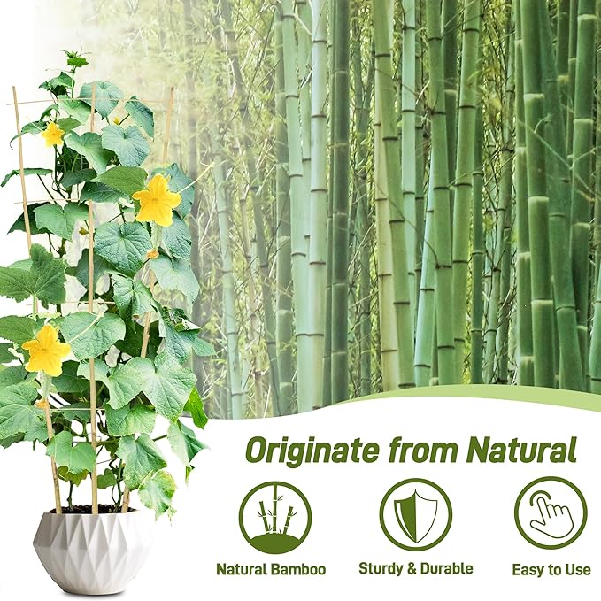 Avalution 10 Pack Bamboo Trellis for Climbing Plants, 4 FT Garden Ladder Trellis for Potted Plants Indoor, Fan-Shaped Small Plant Support Trellis for Houseplants Ivy Hoya Vine Monstera